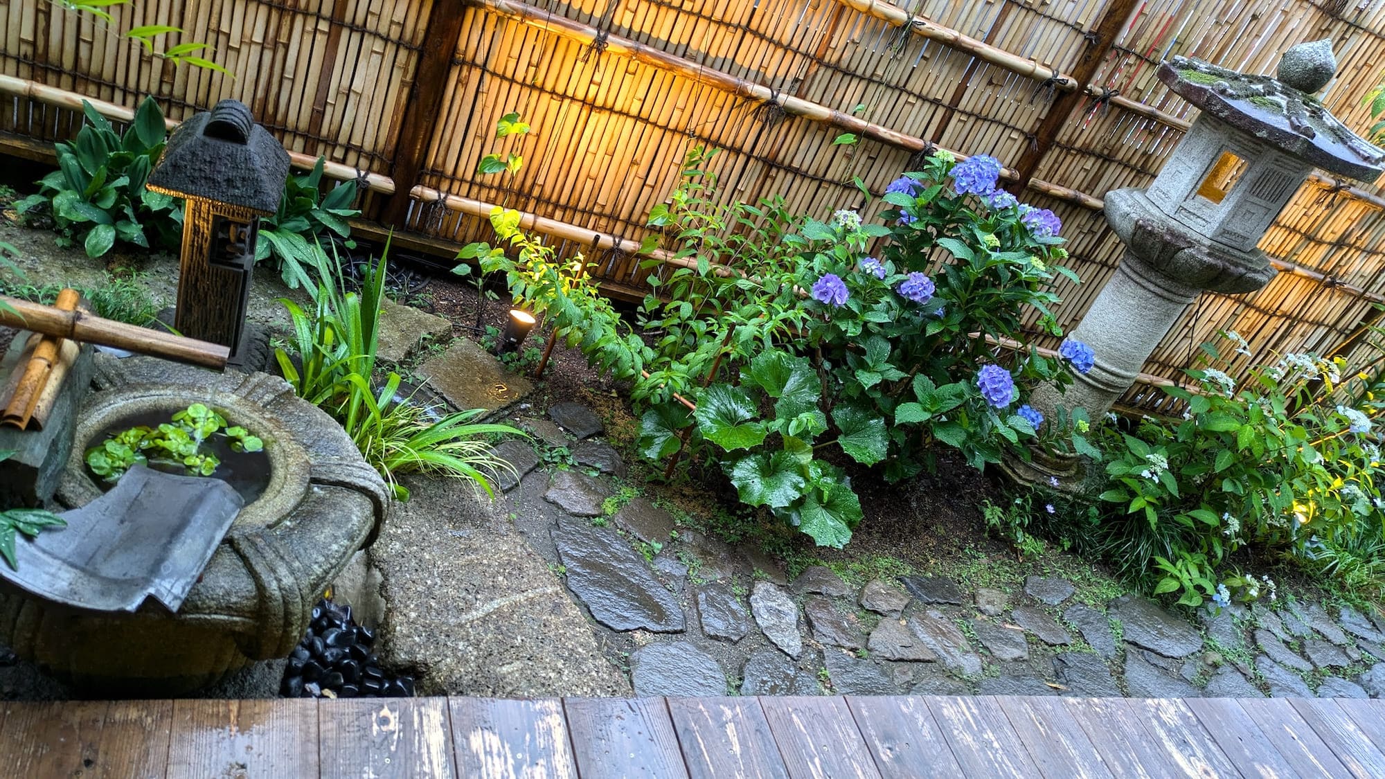 坪庭の紫陽花